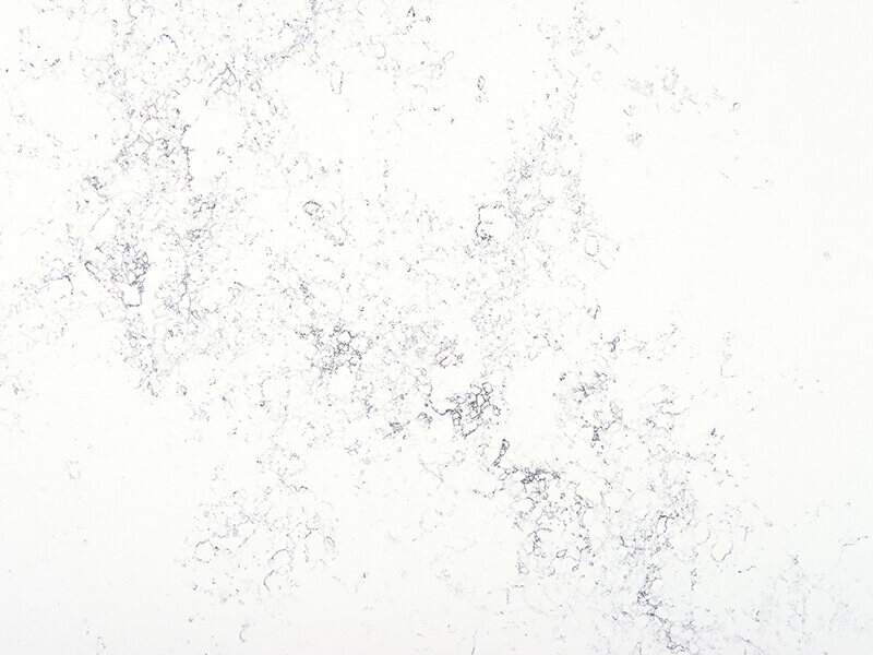 calacatta monaco quartz